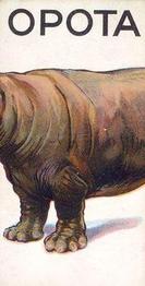 1934 Wills's Animalloys #14 Hippopotamus Front