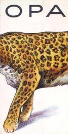 1934 Wills's Animalloys #20 Leopard Front