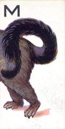 1934 Wills's Animalloys #24 Opossum Front