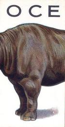 1934 Wills's Animalloys #35 Rhinoceros Front