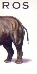 1934 Wills's Animalloys #36 Rhinoceros Front
