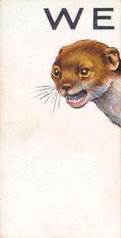 1934 Wills's Animalloys #43 Weasel Front