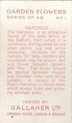 1938 Gallaher Garden Flowers #1 Narcissus Back