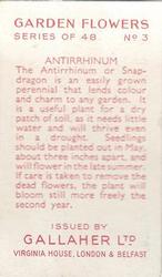1938 Gallaher Garden Flowers #3 Antirrhinum Back