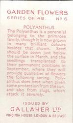 1938 Gallaher Garden Flowers #6 Polyanthus Back