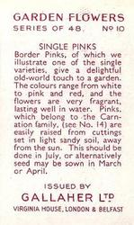 1938 Gallaher Garden Flowers #10 Single Pinks Back