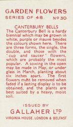 1938 Gallaher Garden Flowers #30 Canterbury Bells Back