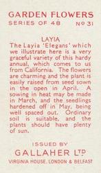 1938 Gallaher Garden Flowers #31 Layia Back