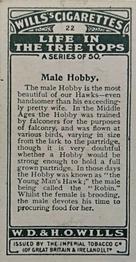 1925 Wills's Life in the Tree Tops #22 Male Hobby Back
