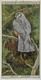 1925 Wills's Life in the Tree Tops #22 Male Hobby Front
