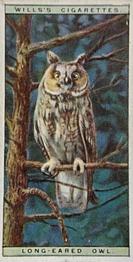 1925 Wills's Life in the Tree Tops #35 Long-Eared Owl Front