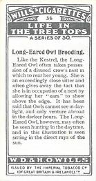 1925 Wills's Life in the Tree Tops #36 Long-Eared Owl brooding Back