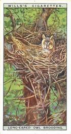 1925 Wills's Life in the Tree Tops #36 Long-Eared Owl brooding Front
