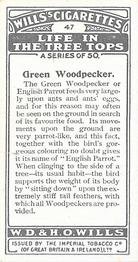1925 Wills's Life in the Tree Tops #47 Green Woodpecker Back