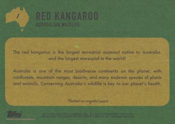2020 Topps On Demand Benefit for Australia #1 Red Kangaroo Back