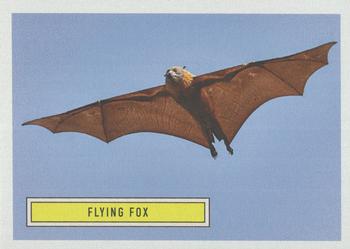 2020 Topps On Demand Benefit for Australia #6 Flying Fox Front