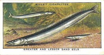 1938 Wills's The Sea-Shore #4 Greater And Lesser Sand Eels Front