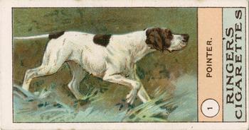 1908 Ringer's Dogs Series #1 Pointer Front