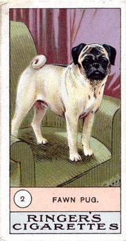 1908 Ringer's Dogs Series #2 Pug Front