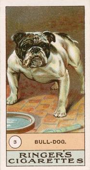 1908 Ringer's Dogs Series #3 Bull-Dog Front