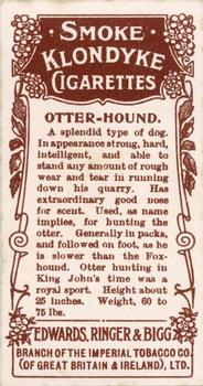 1908 Ringer's Dogs Series #4 Otter-Hound Back