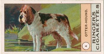1908 Ringer's Dogs Series #4 Otter-Hound Front