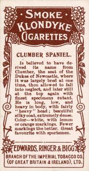 1908 Ringer's Dogs Series #6 Clumber Spaniel Back