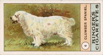 1908 Ringer's Dogs Series #6 Clumber Spaniel Front