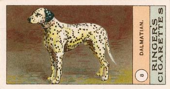 1908 Ringer's Dogs Series #8 Dalmatian Front