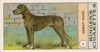 1908 Ringer's Dogs Series #9 Great Dane Front
