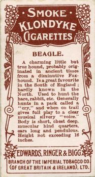 1908 Ringer's Dogs Series #11 Beagle Back