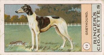 1908 Ringer's Dogs Series #12 Greyhound Front