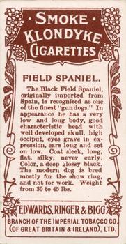 1908 Ringer's Dogs Series #15 Field Spaniel Back