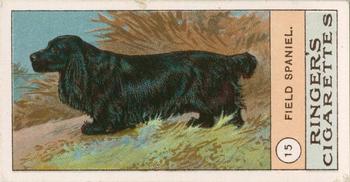1908 Ringer's Dogs Series #15 Field Spaniel Front