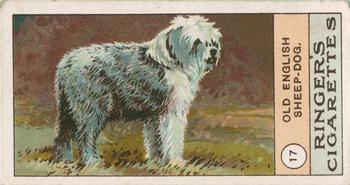 1908 Ringer's Dogs Series #17 Old English Sheep-Dog Front