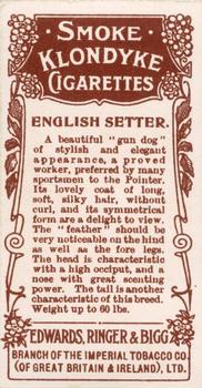 1908 Ringer's Dogs Series #18 English Setter Back