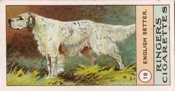 1908 Ringer's Dogs Series #18 English Setter Front