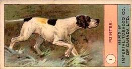 1924 Imperial Tobacco Co. of Canada (ITC) Dogs Series #1 Pointer Front