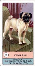 1924 Imperial Tobacco Co of Canada (ITC) Dogs Series #2 Fawn Pug Front
