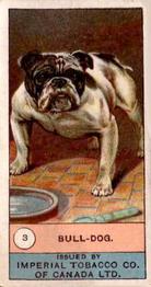 1924 Imperial Tobacco Co of Canada (ITC) Dogs Series #3 Bull-Dog Front