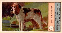 1924 Imperial Tobacco Co of Canada (ITC) Dogs Series #4 Otter-Hound Front