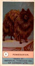 1924 Imperial Tobacco Co of Canada (ITC) Dogs Series #5 Pomeranian Front