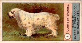 1924 Imperial Tobacco Co of Canada (ITC) Dogs Series #6 Clumber Spaniel Front