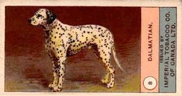 1924 Imperial Tobacco Co of Canada (ITC) Dogs Series #8 Dalmatian Front