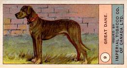 1924 Imperial Tobacco Co of Canada (ITC) Dogs Series #9 Great Dane Front