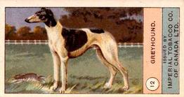 1924 Imperial Tobacco Co of Canada (ITC) Dogs Series #12 Greyhound Front