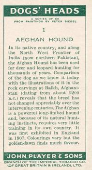 1955 Player's Dogs' Head #1 Afghan Hound Back