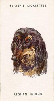 1955 Player's Dogs' Head #1 Afghan Hound Front