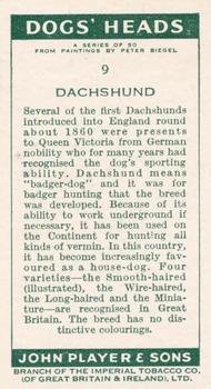 1955 Player's Dogs' Head #9 Dachshund Back