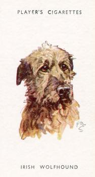 1955 Player's Dogs' Head #15 Irish Wolfhound Front